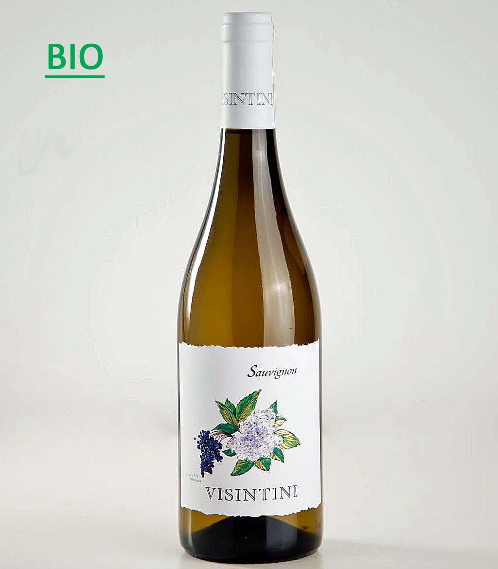 Sauvignon Blanc DOP Friuli 2022 Visintini -BIO-
