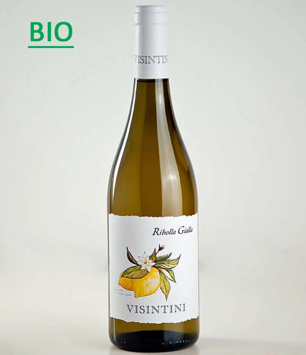 Ribolla Gialla DOP Friuli 2023 Visintini -BIO-